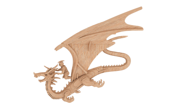 The Dragon Rider
