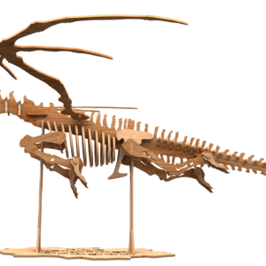 Gnash the Flying Skeleton Dragon