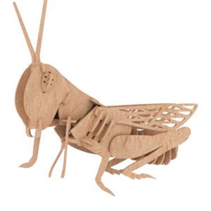 Green Grasshopper