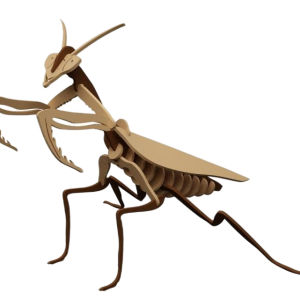 Praying Mantis