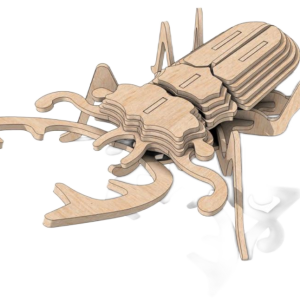 Stag Beetle