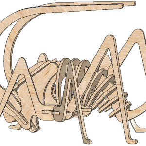 Grasshopper