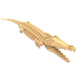 Saltwater Crocodile