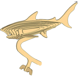 Shark