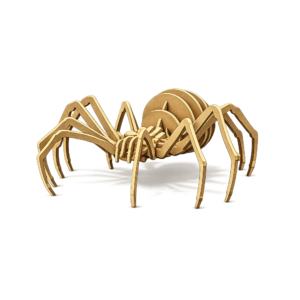 Black Widow Spider