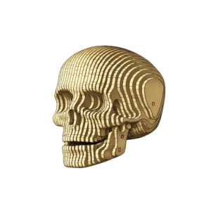 Kool Skull