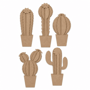 Cactus Set of 5