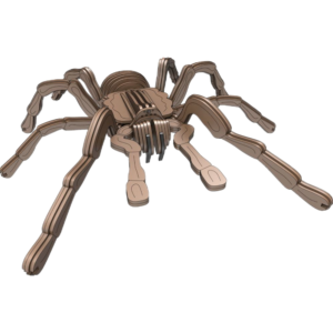 Chilean Rose Tarantula