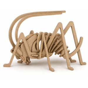 Grasshopper