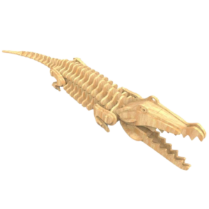 Saltwater Crocodile