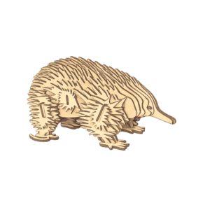 Echidna